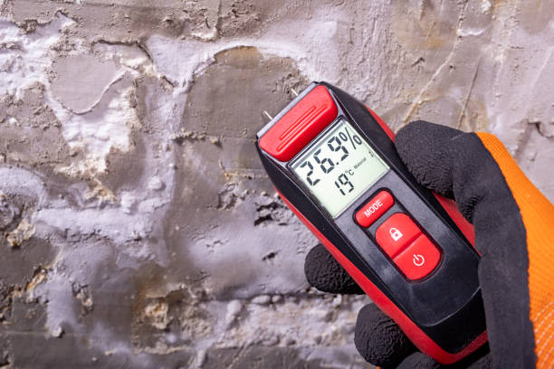 Best Mold Testing and Inspection Services in Elk Mound, WI